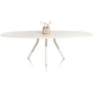Eettafel 270x120 met centrale poot